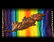 Cambridgeshire Regiment World War One Medals, MiD